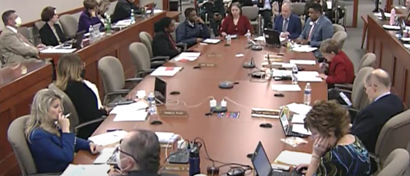 EFyTECH Recommends Updated Rights and Protections for Foster Youth to Michigan Lawmakers